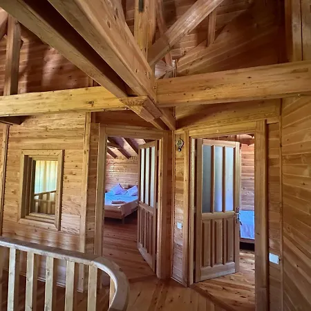 Sedir Séjour chez l'habitant Çıralı